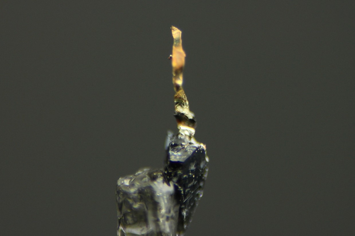 Gold On Sphalerite