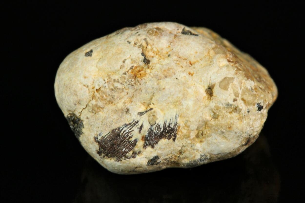 Rankamaite With Tantalite-(Mn)