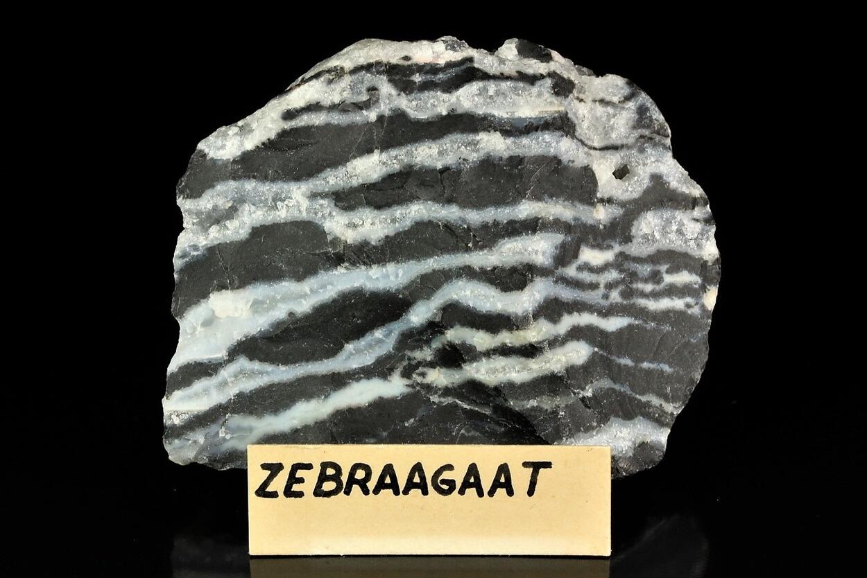 Zebra Stone