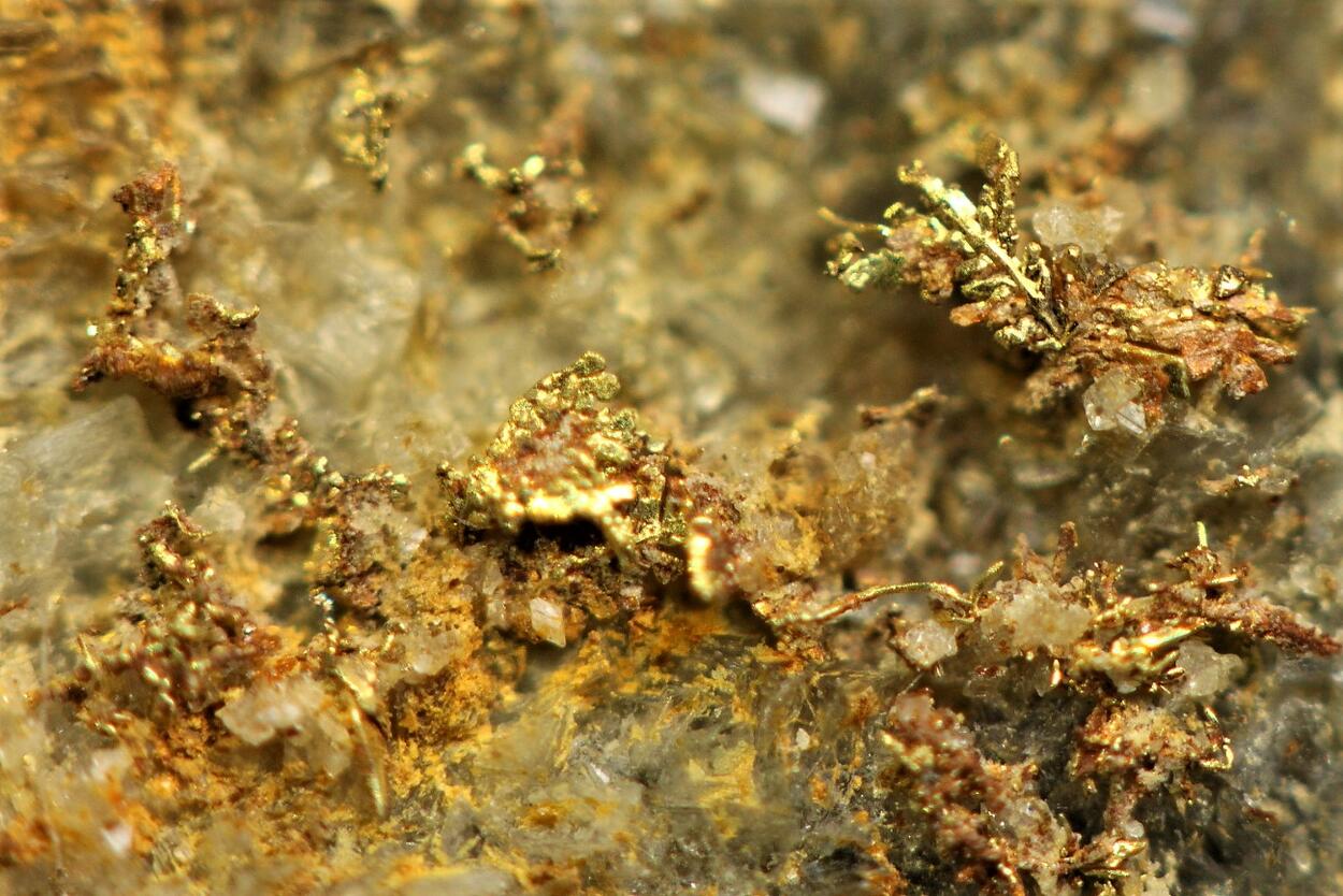 Native Gold On Quartz