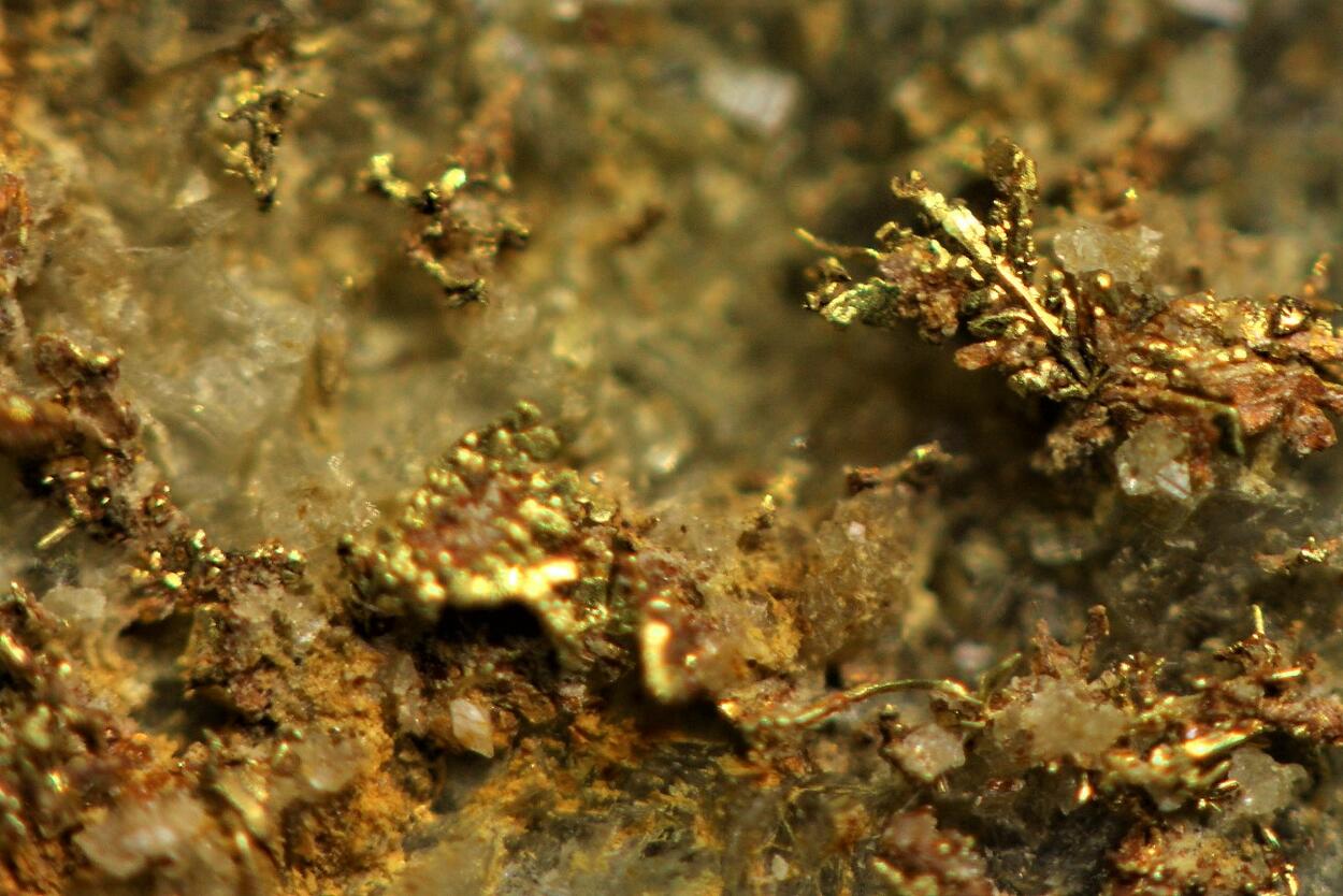 Native Gold On Quartz
