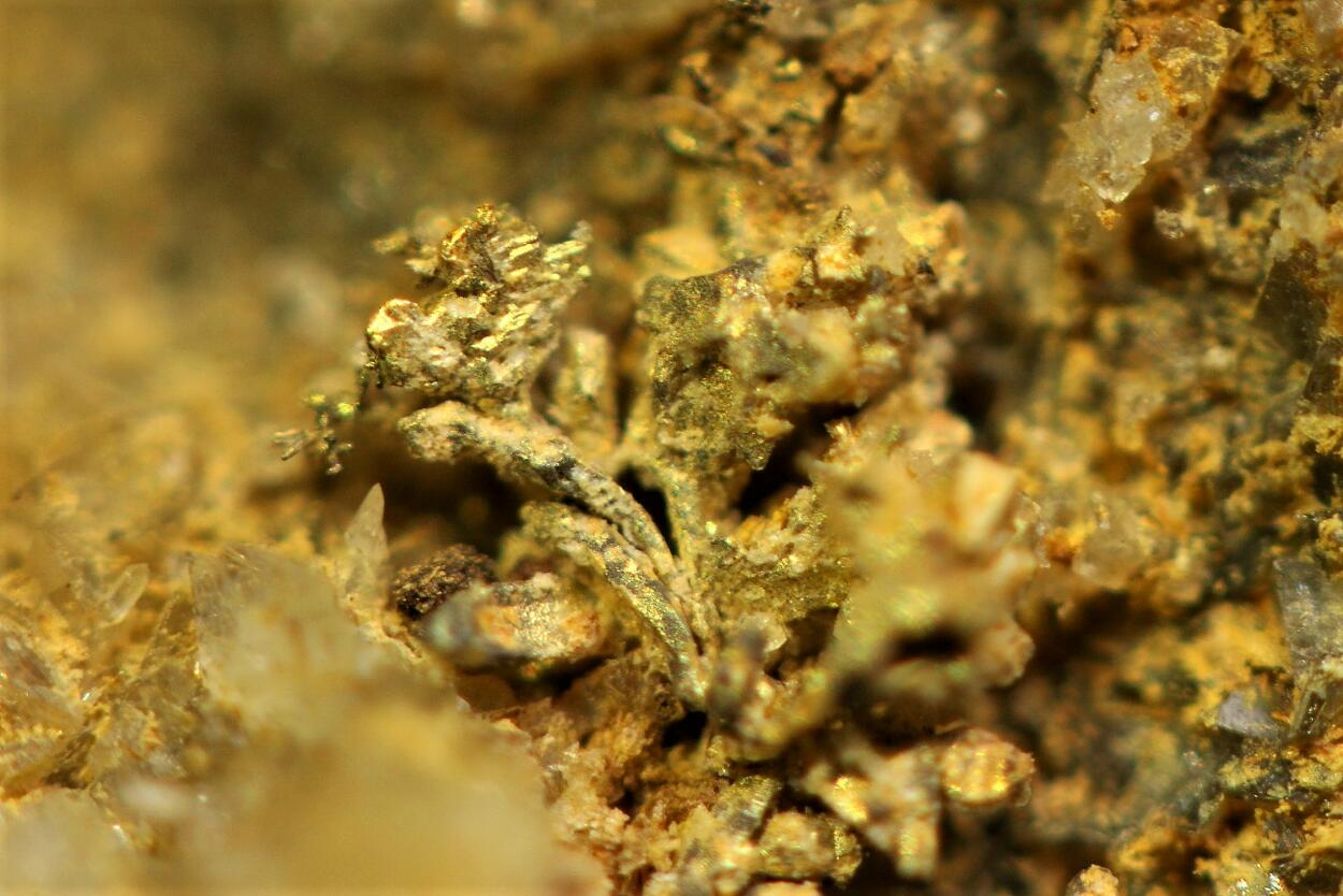 Native Gold On Quartz