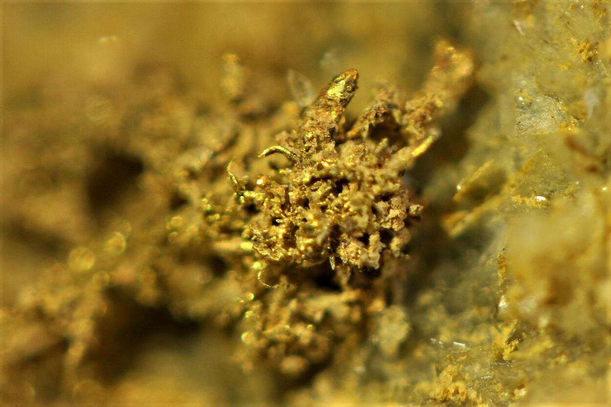 Native Gold On Quartz