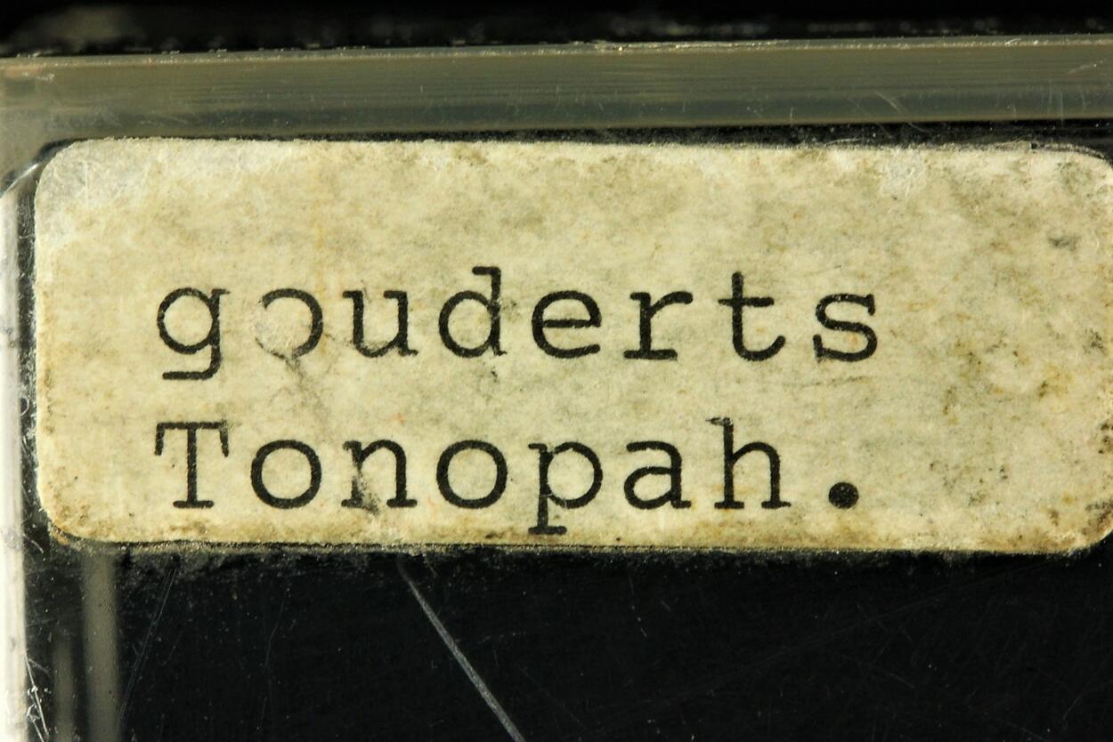 Native Gold On Quartz