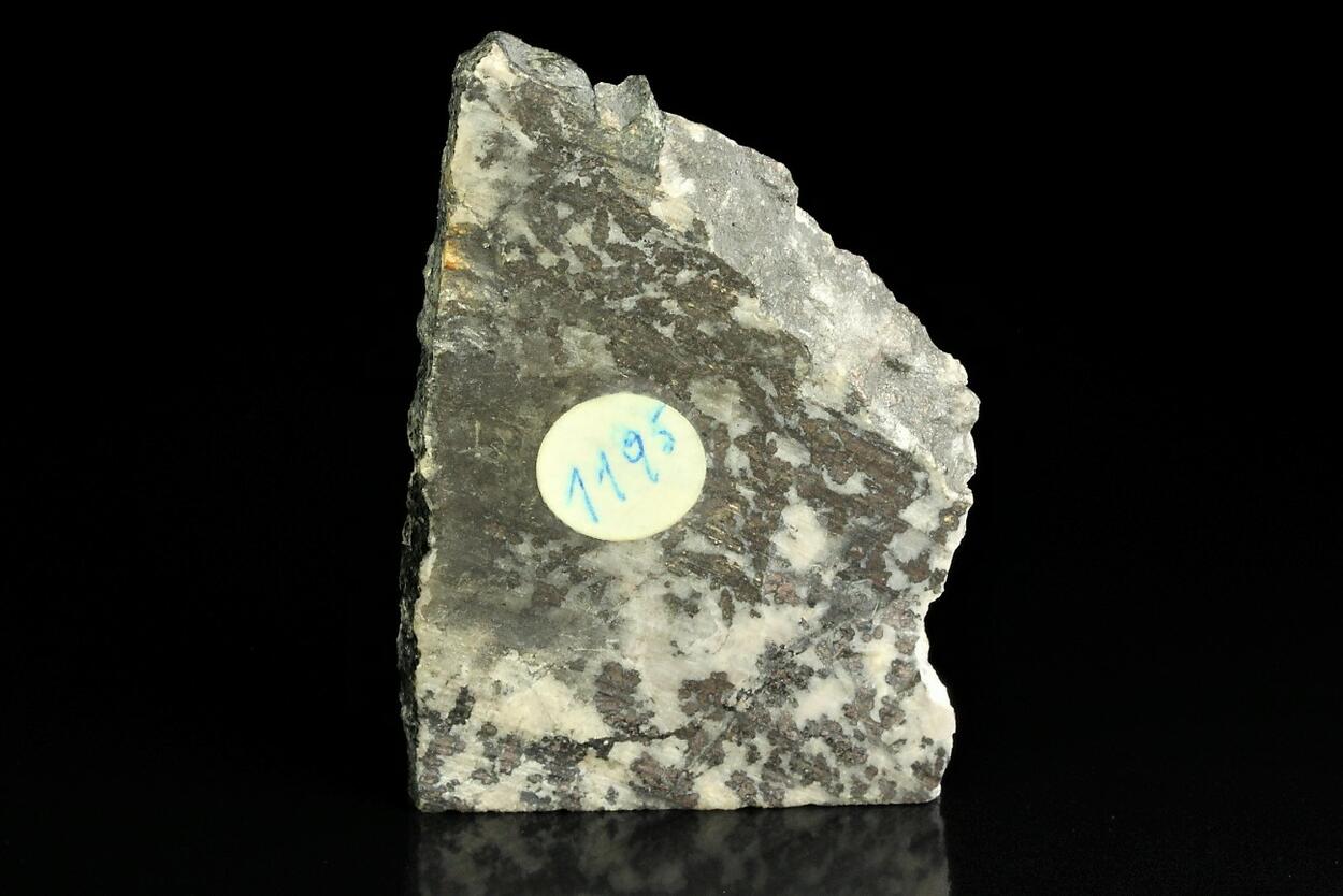 Native Silver With Safflorite