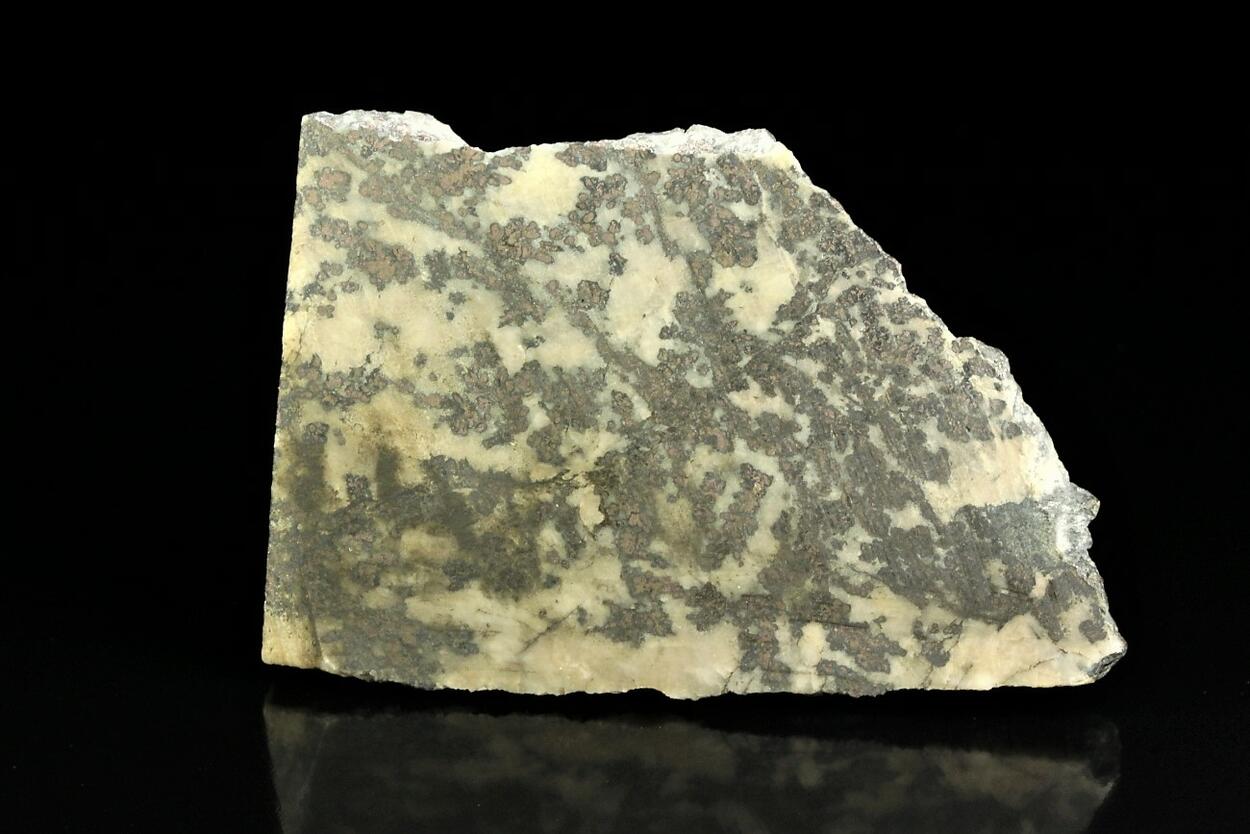 Native Silver With Safflorite