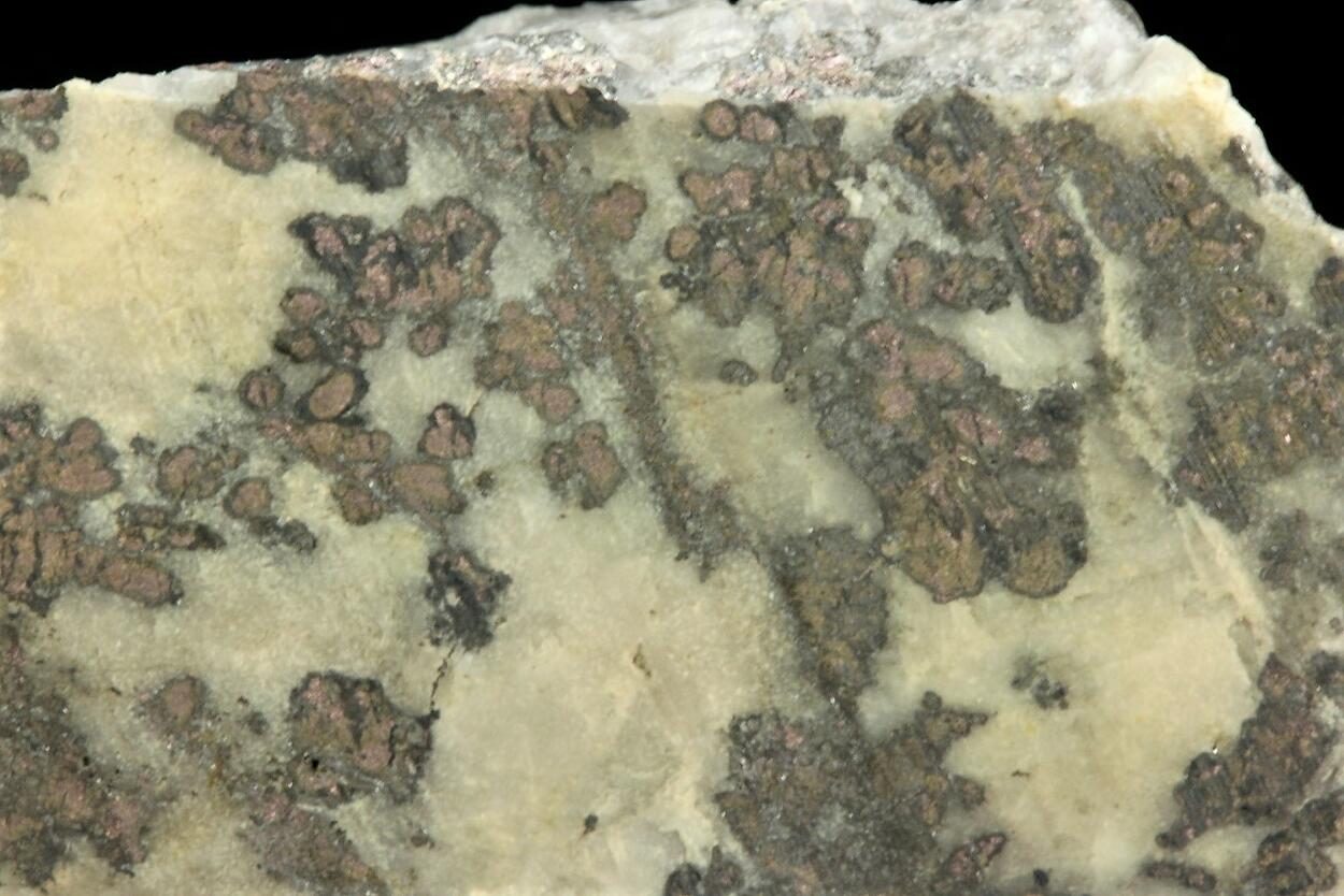 Native Silver With Safflorite