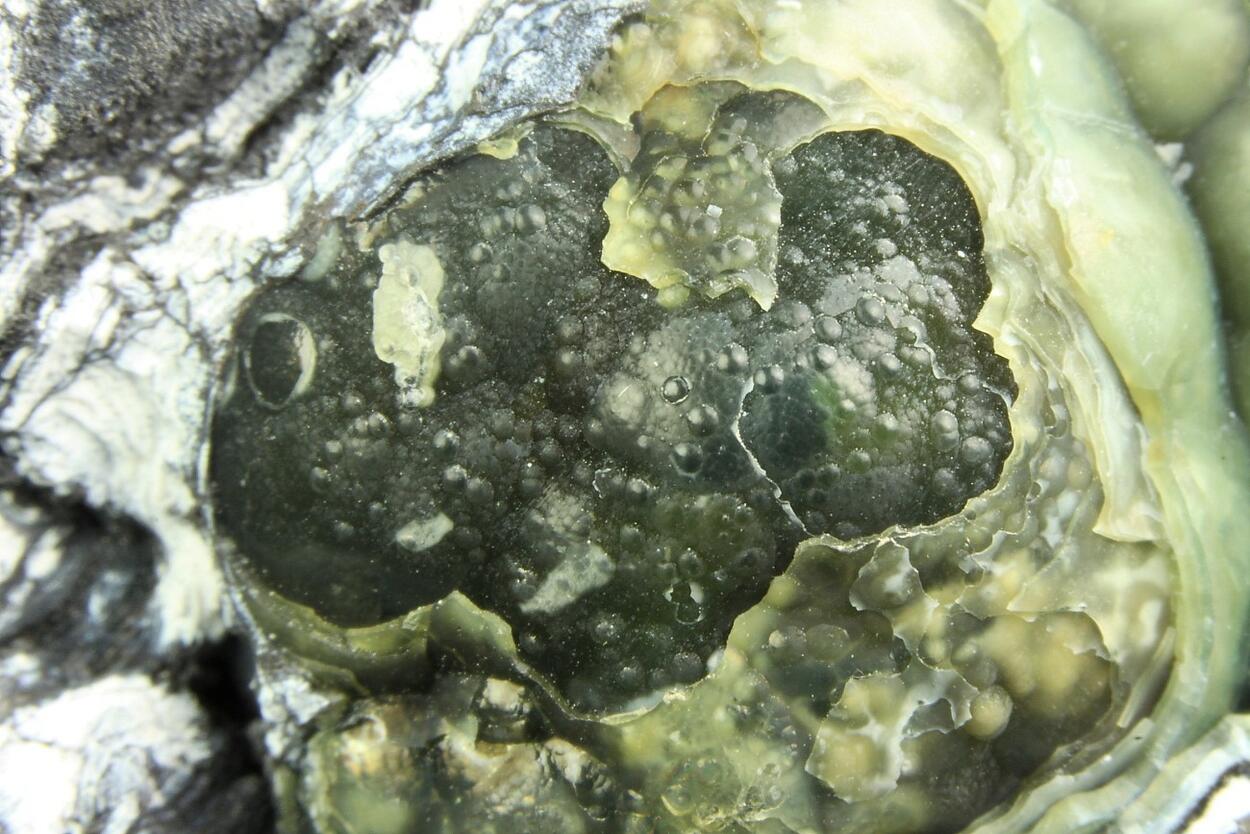 Plumbogummite & Kaolinite Psm Pyromorphite