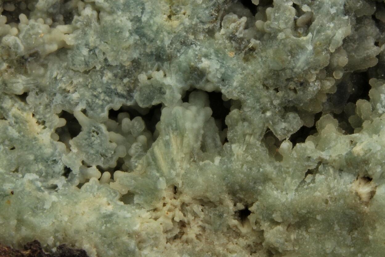 Plumbogummite & Kaolinite Psm Pyromorphite