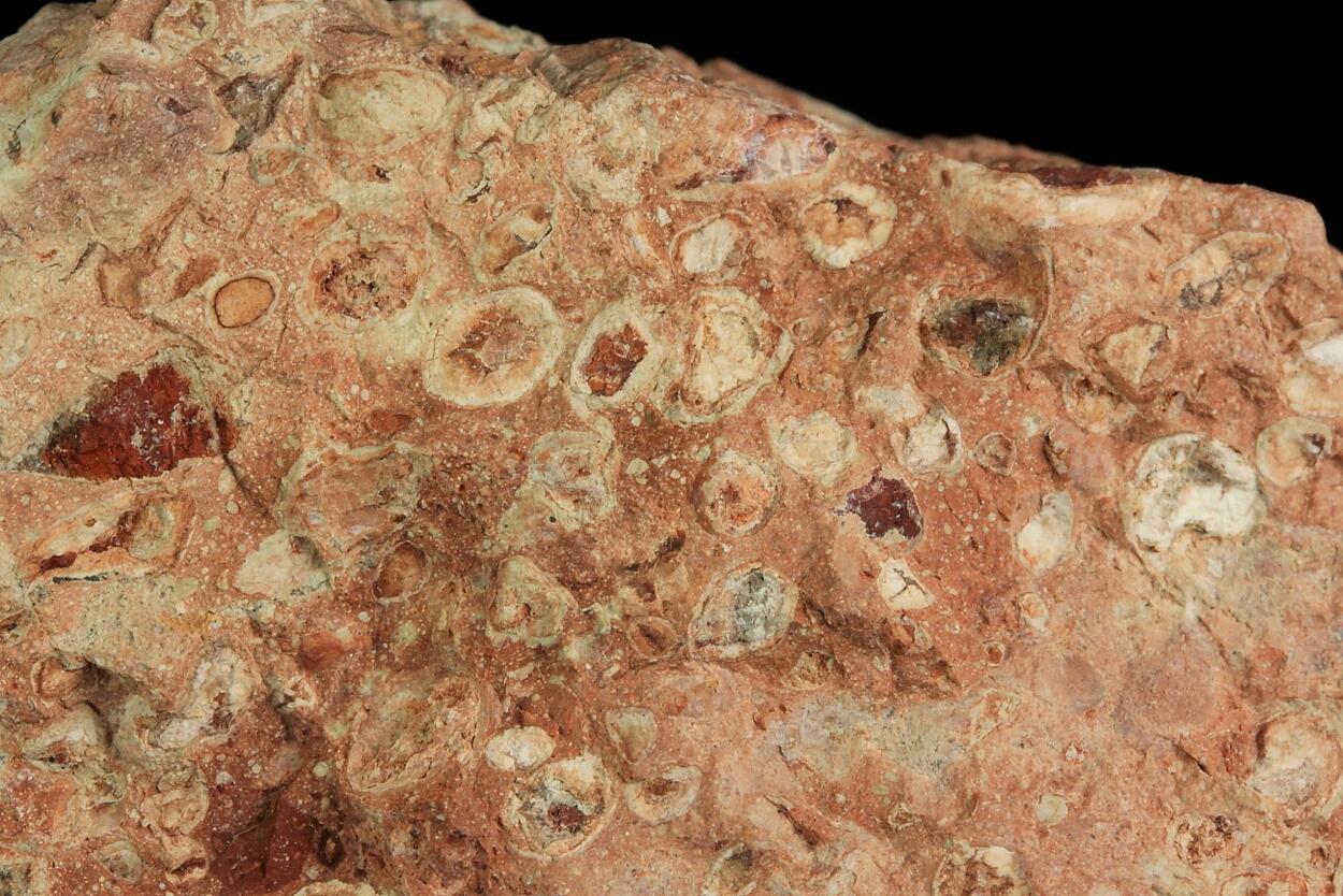 Bauxite Pisolite