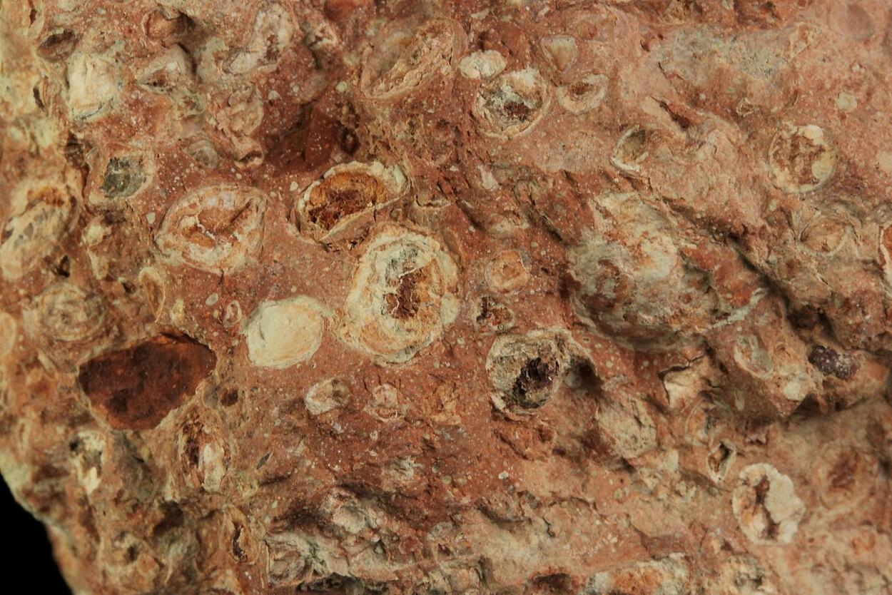Bauxite Pisolite