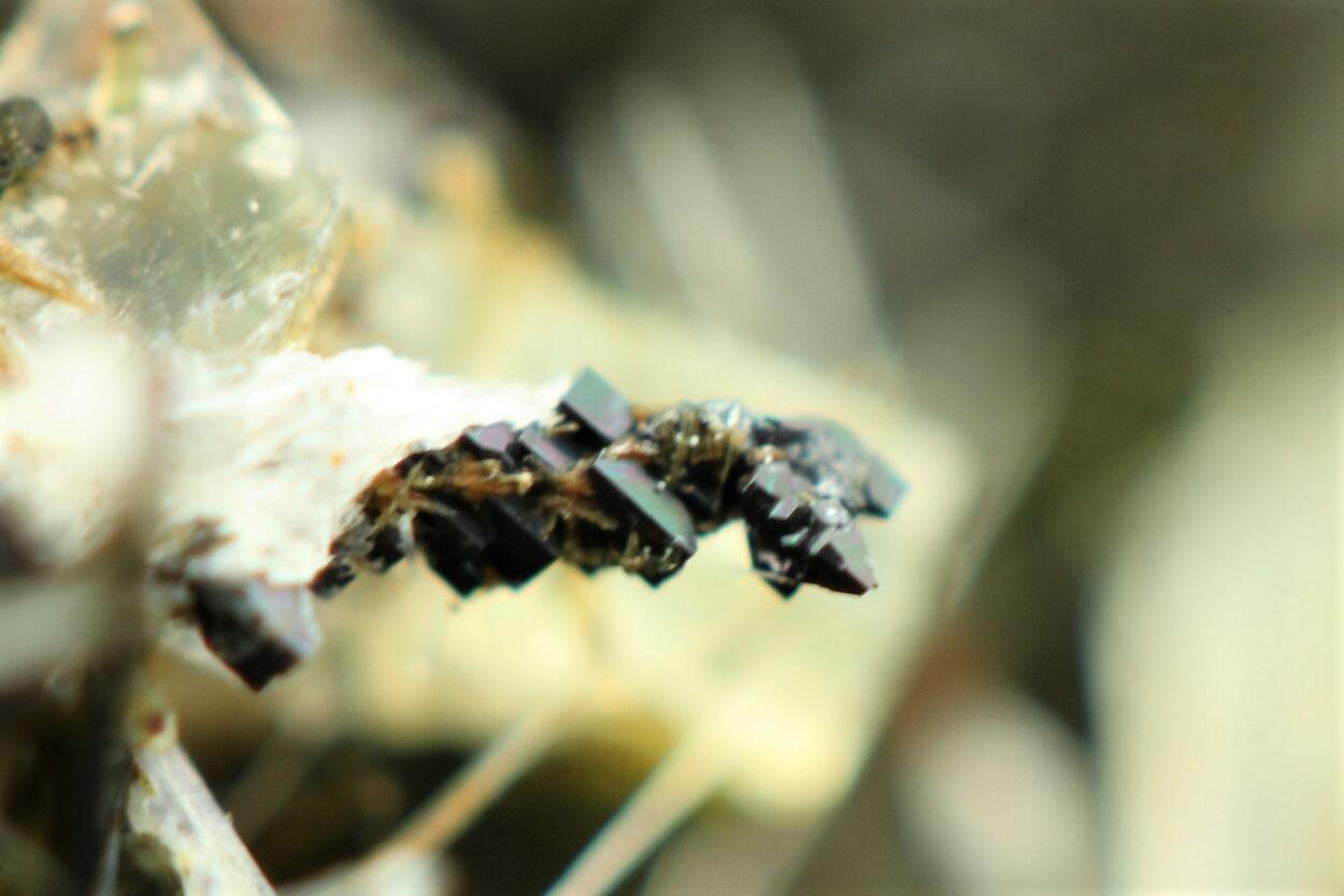 Perovskite & Nepheline