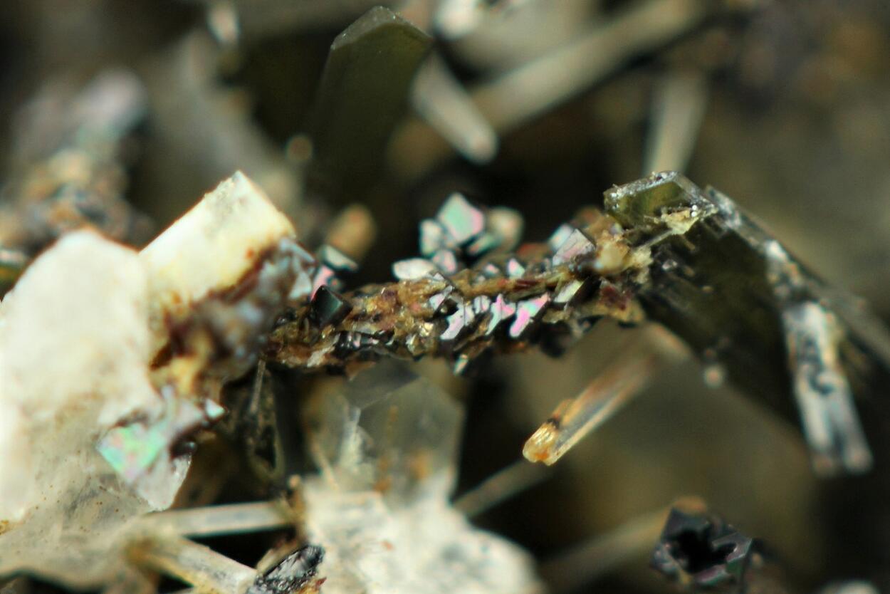 Perovskite & Nepheline