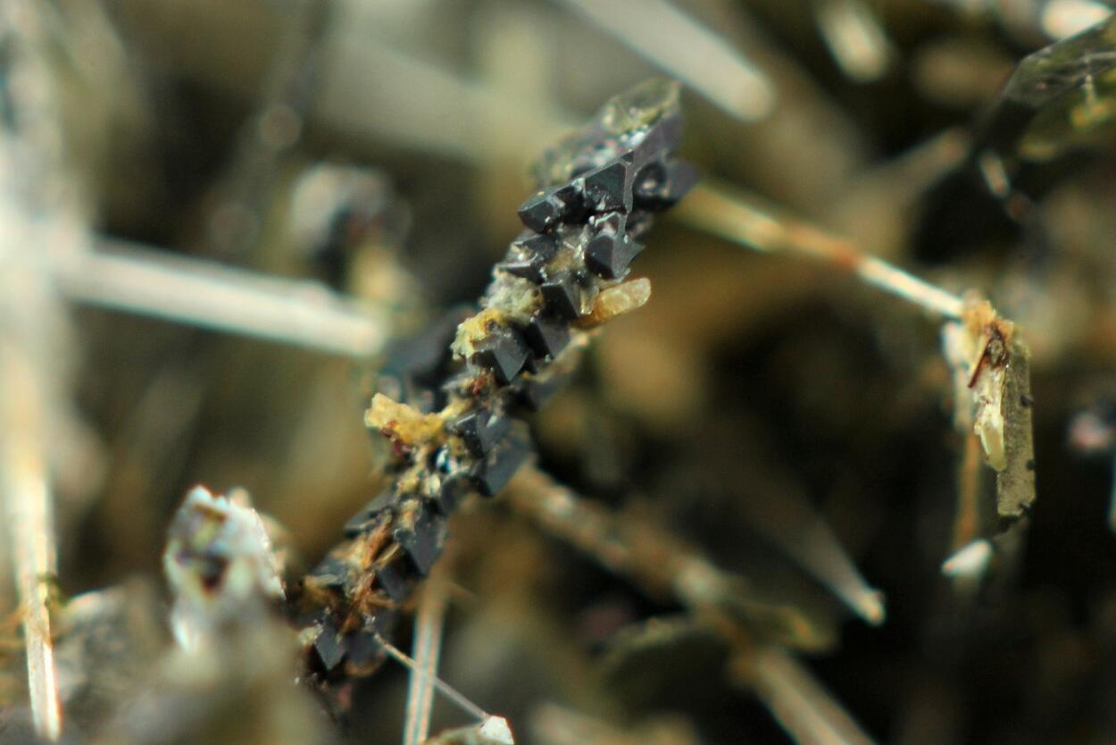 Perovskite & Nepheline