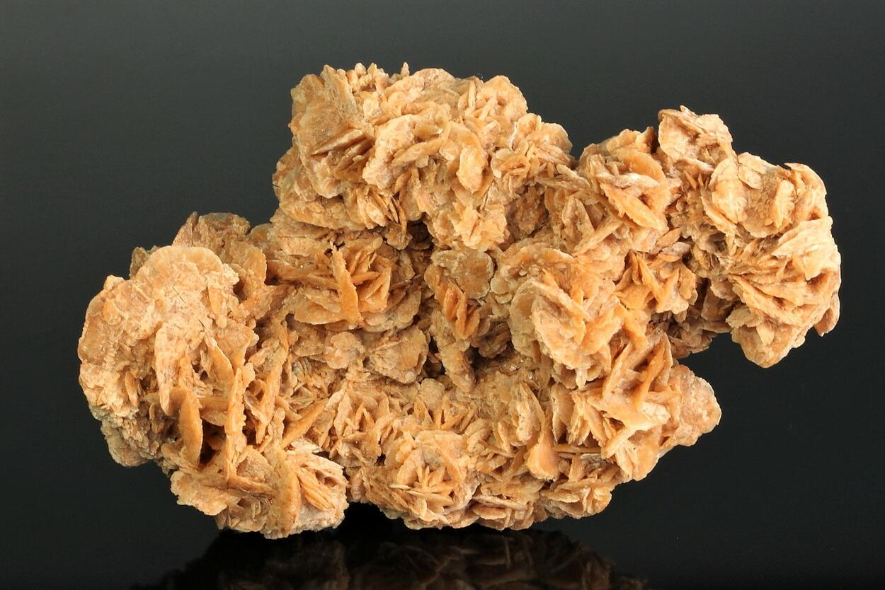 Gypsum Desert Rose