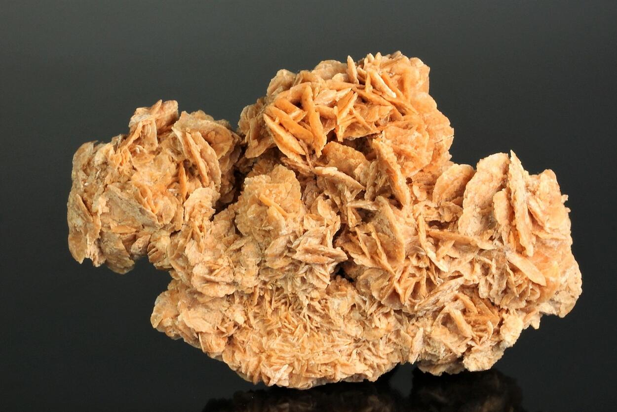 Gypsum Desert Rose