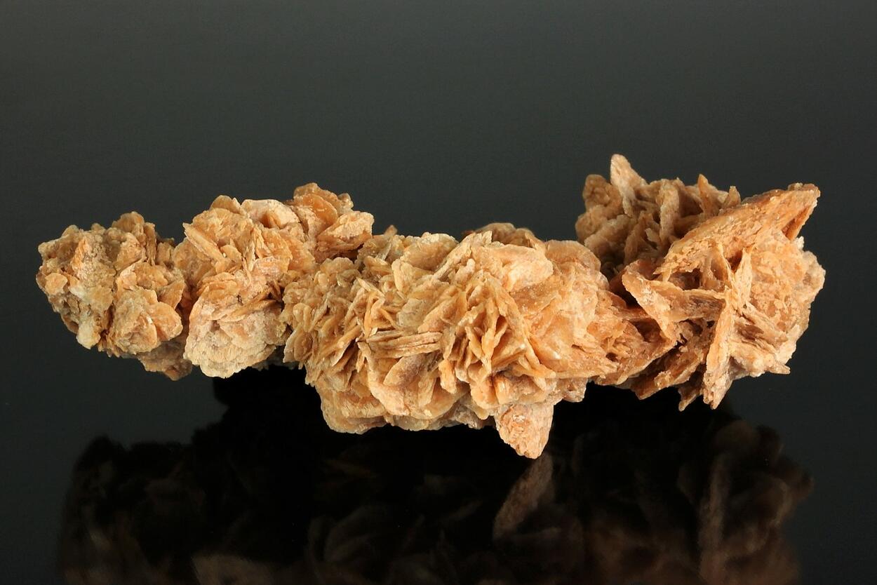 Gypsum Desert Rose