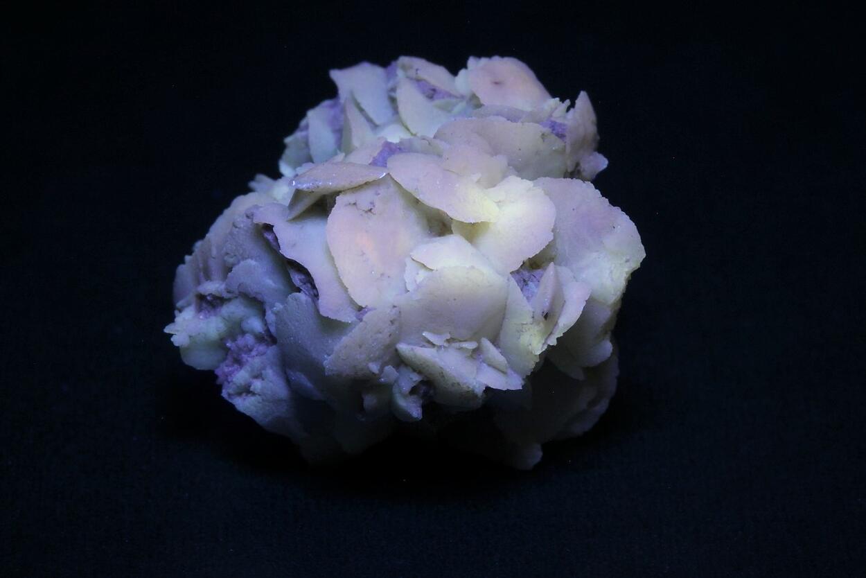 Quartz Psm Desert Rose