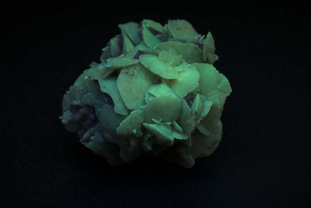 Quartz Psm Desert Rose