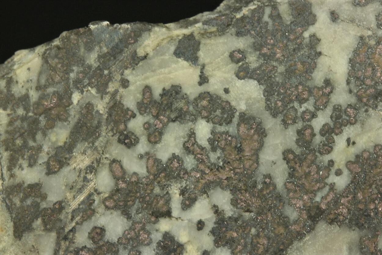 Native Silver With Safflorite