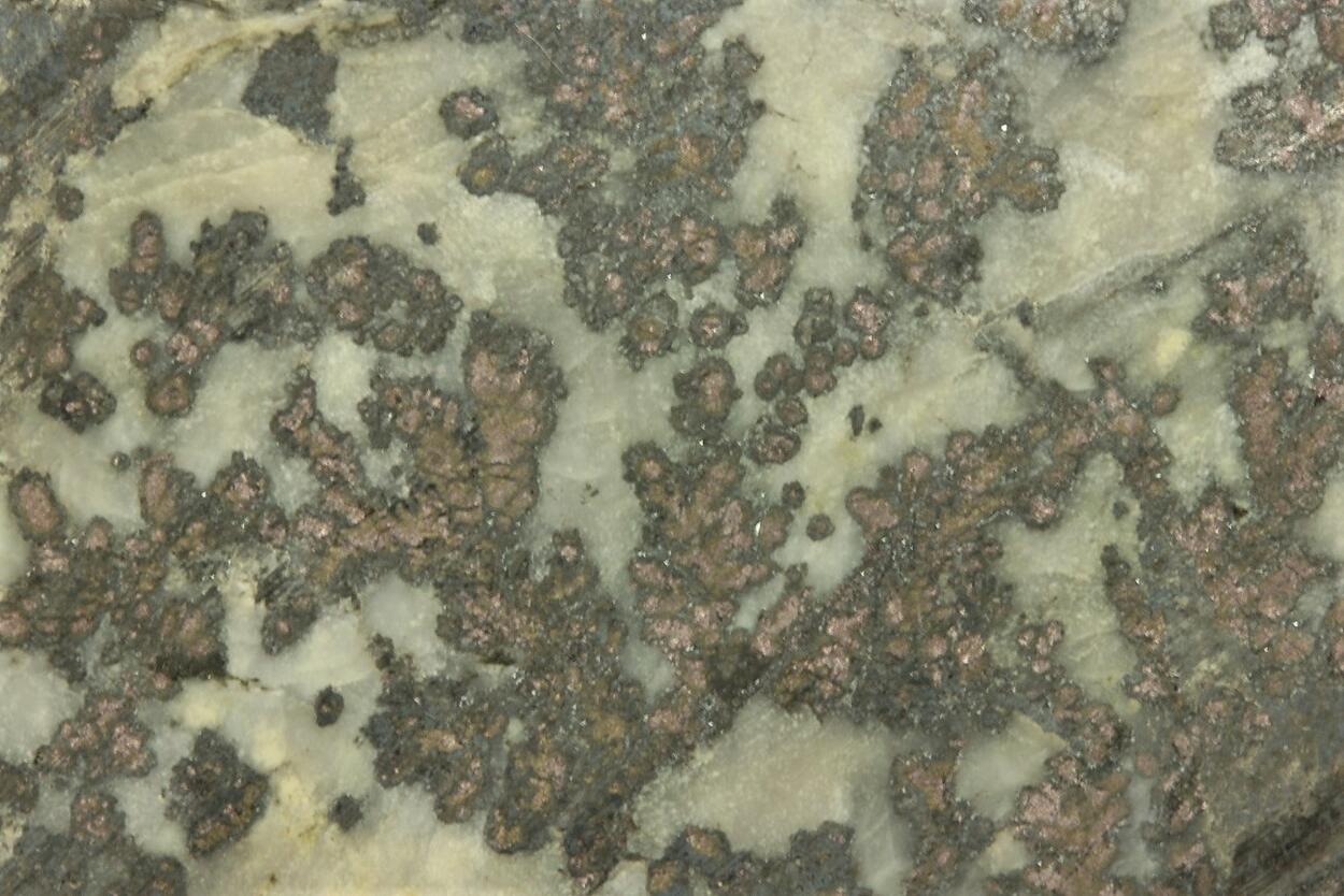 Native Silver With Safflorite