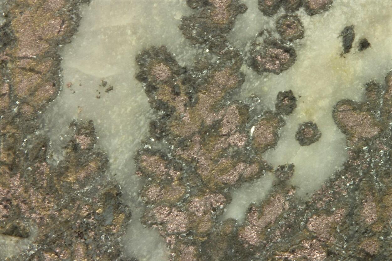 Native Silver With Safflorite