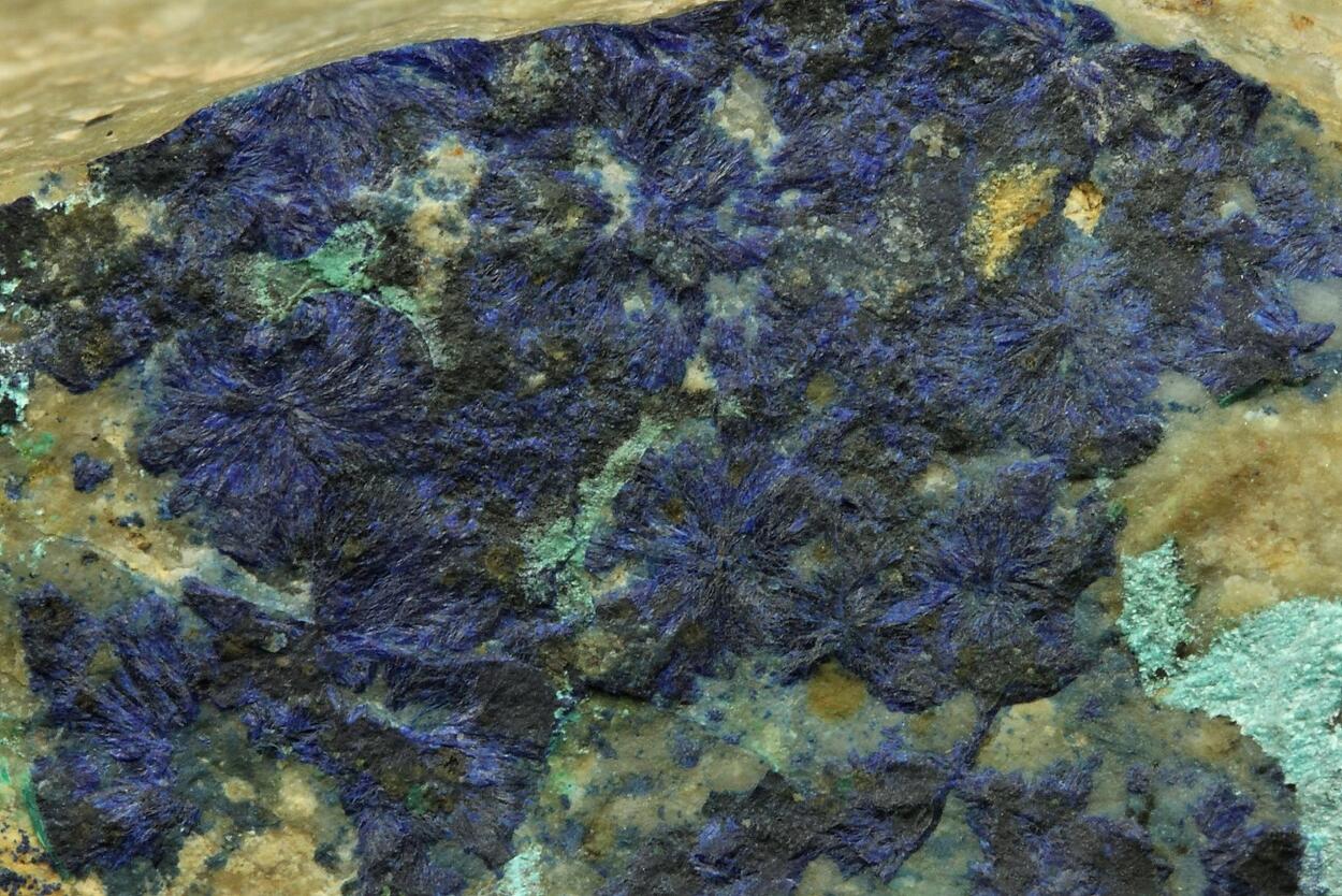 Azurite With Tyrolite