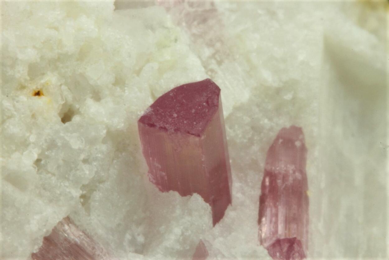 Rubellite
