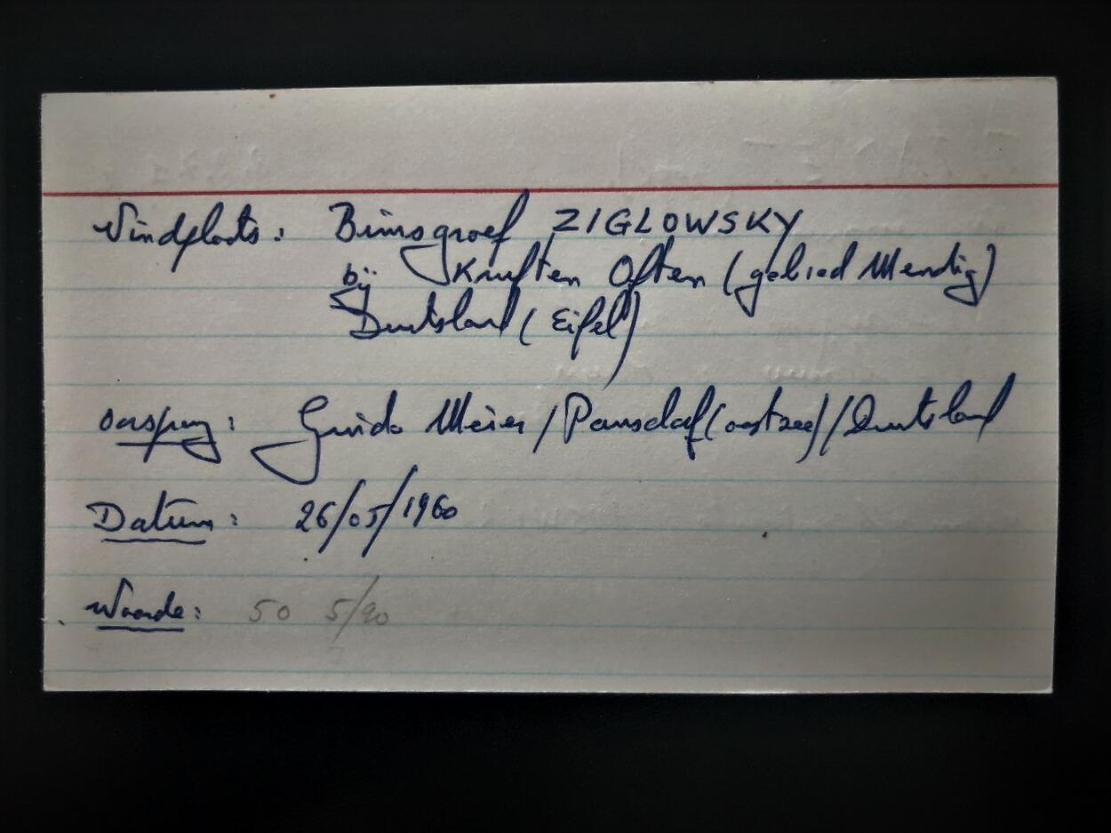 Titanite Sanidine & Haüyne