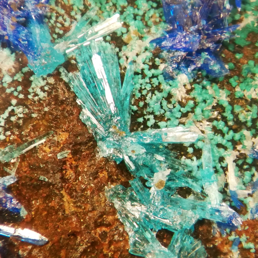 Caledonite & Linarite