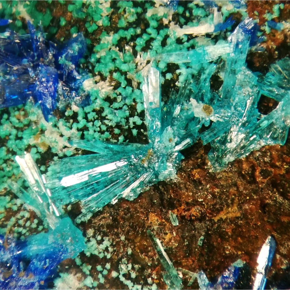 Caledonite & Linarite