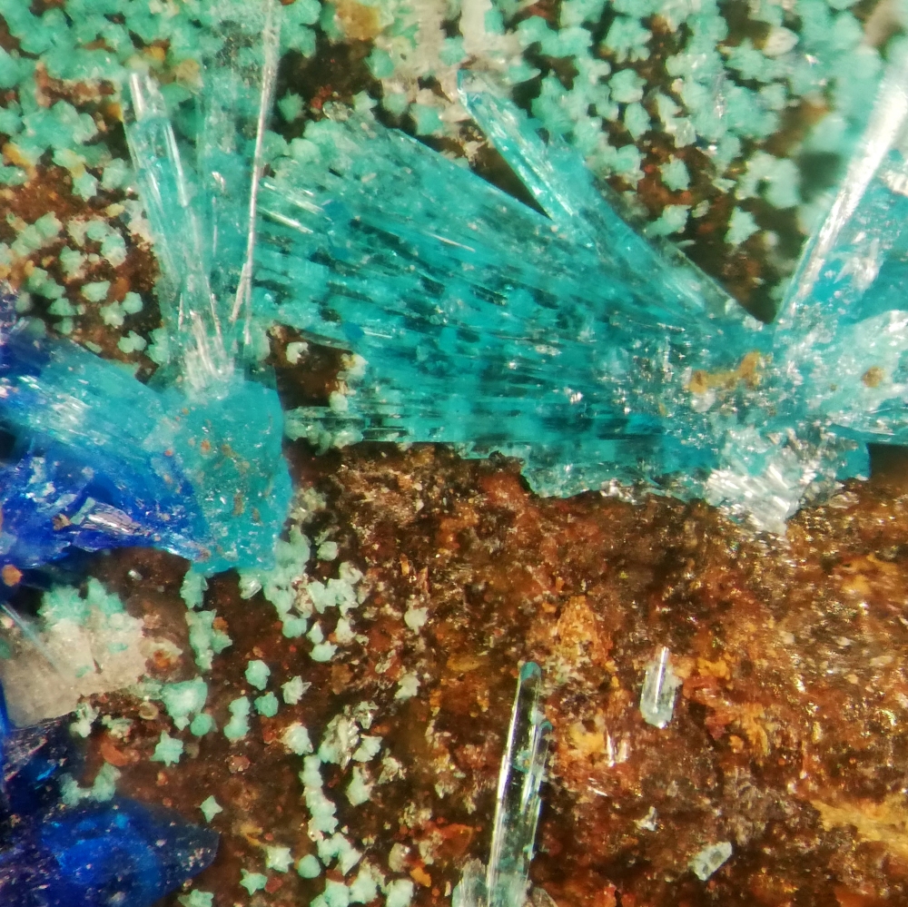 Caledonite & Linarite