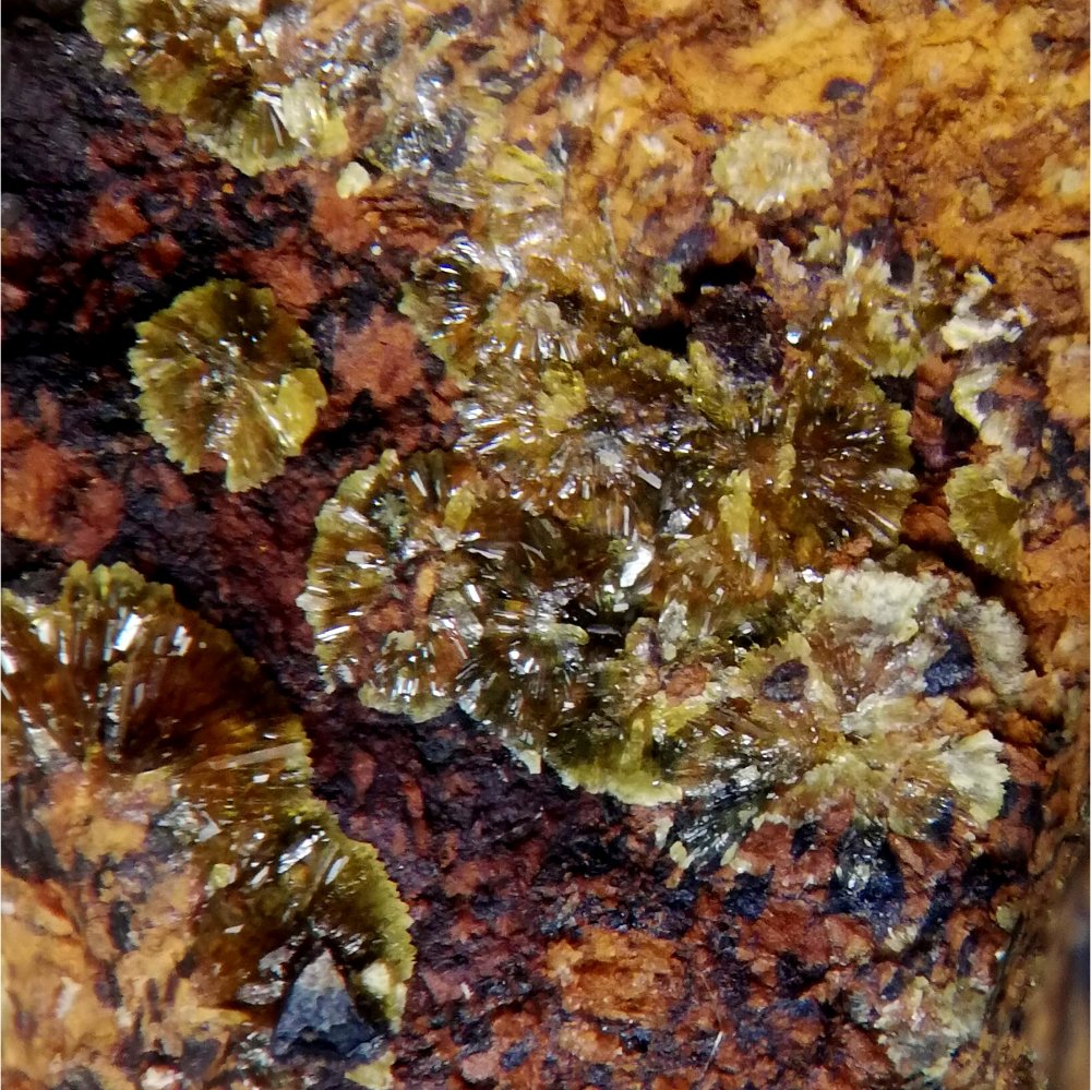 Cyrilovite