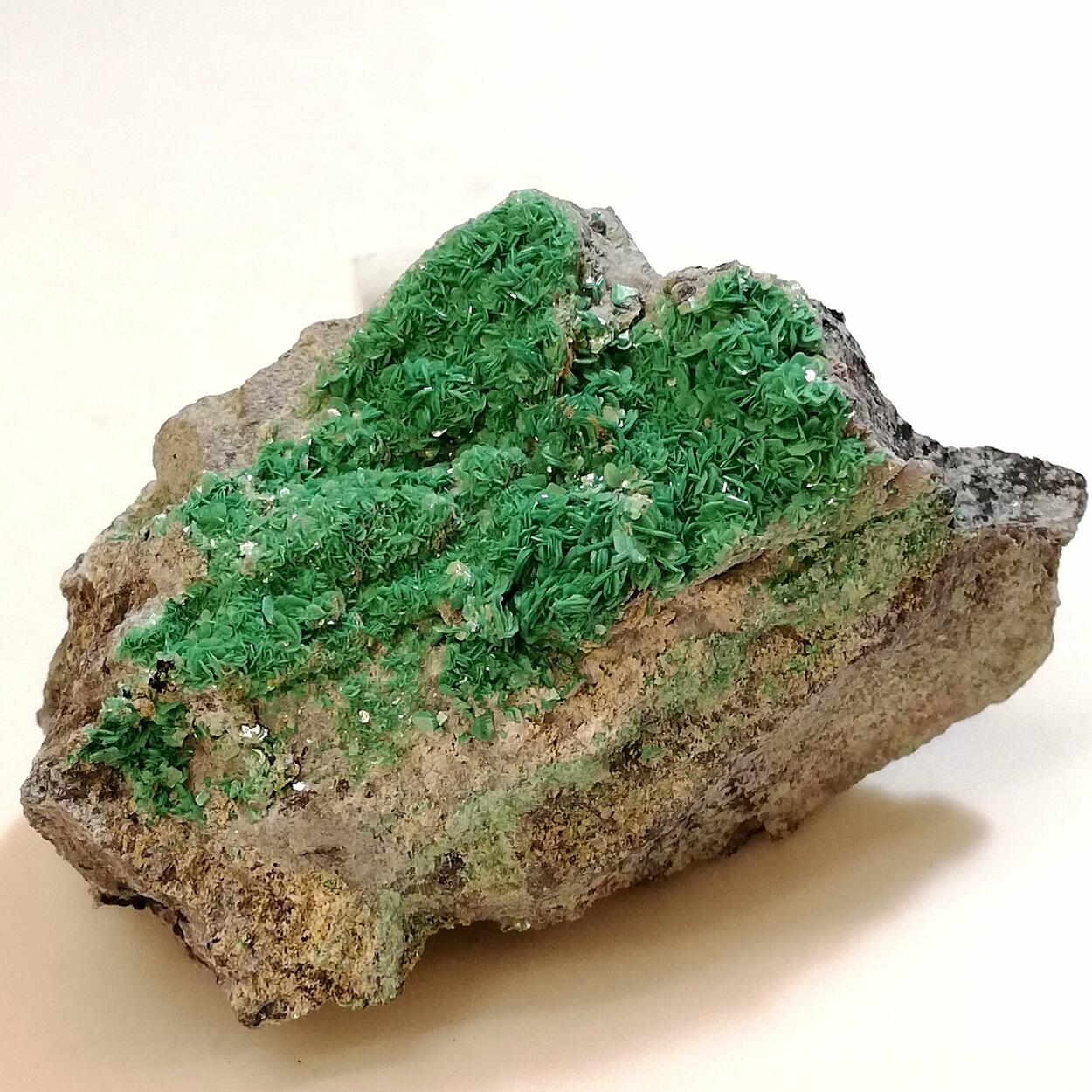 Metatorbernite