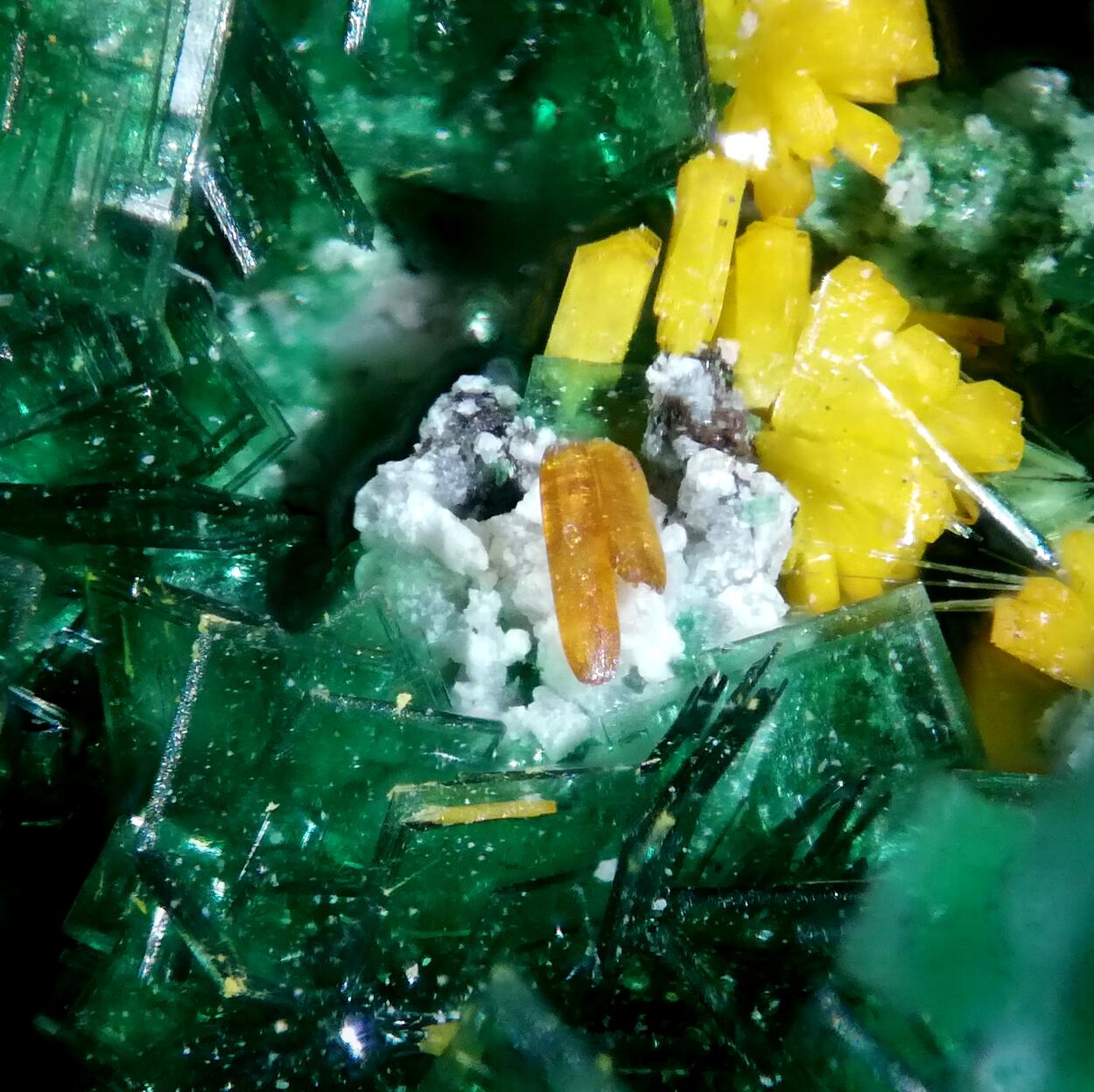 Kasolite Torbernite Wulfenite Cuprosklodowskite