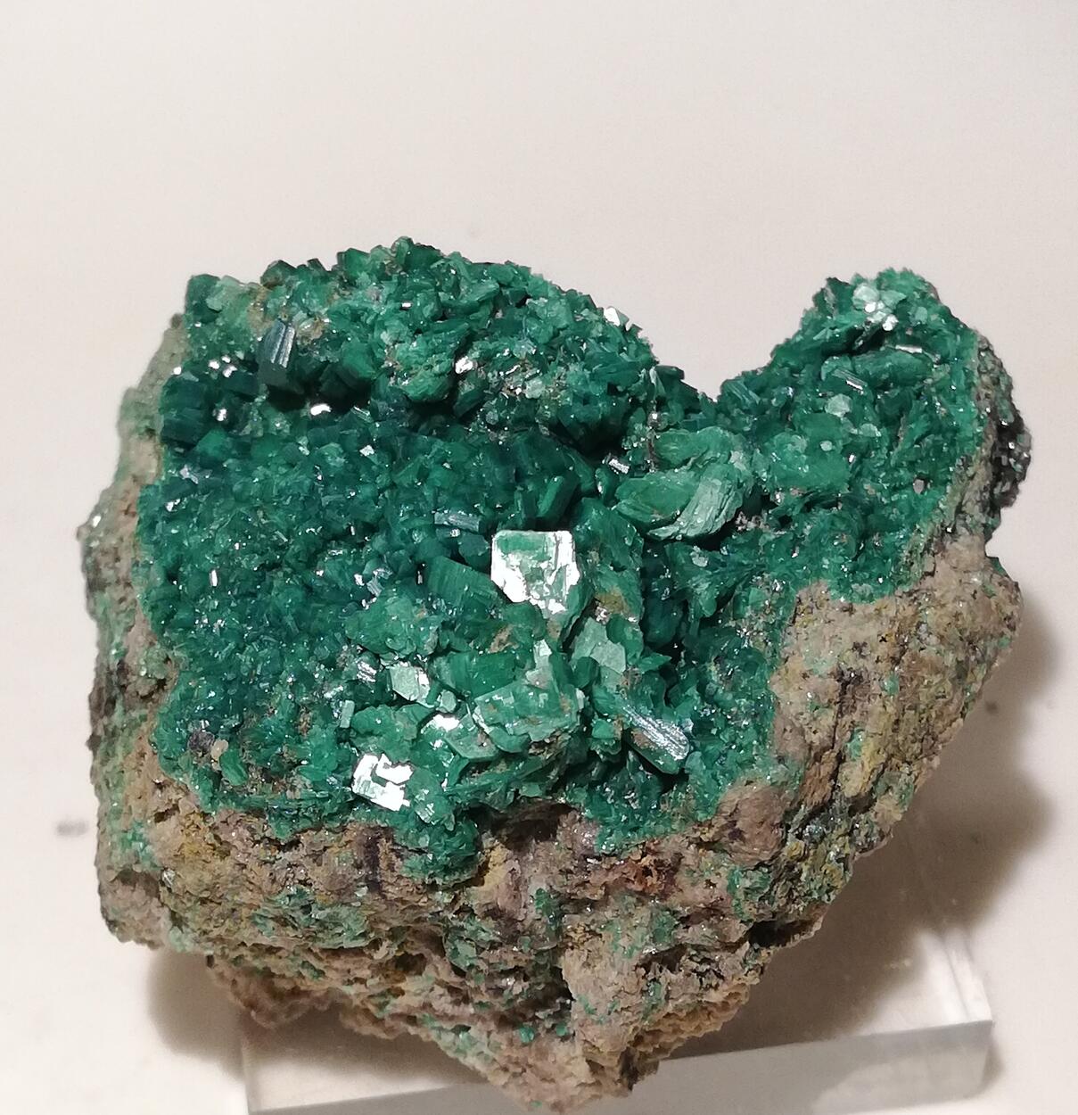 Metatorbernite