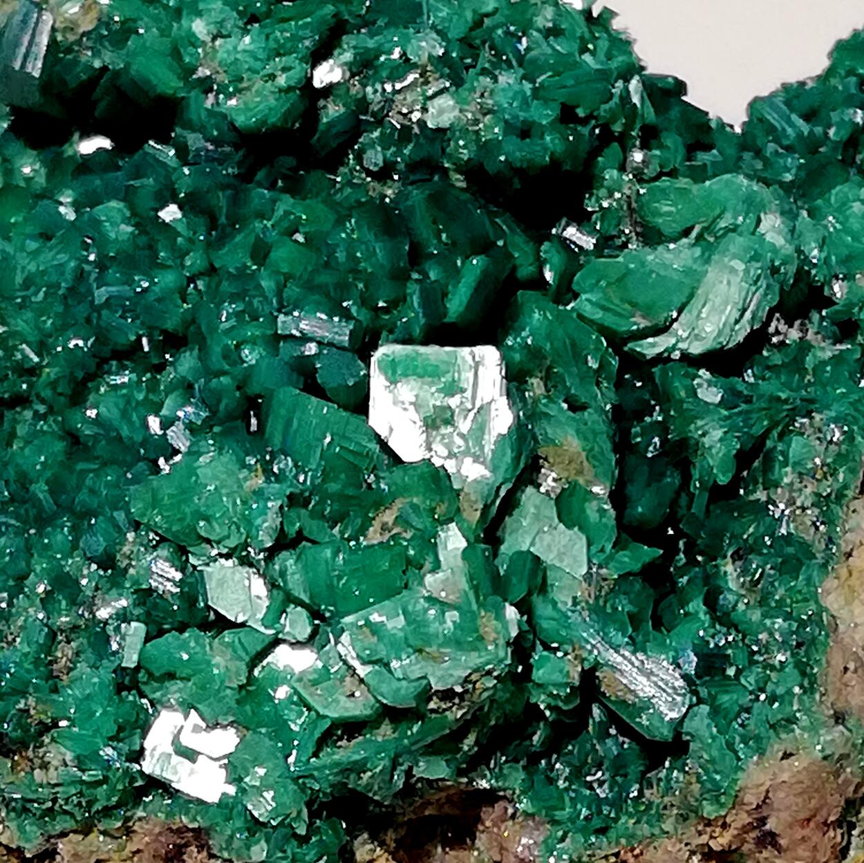 Metatorbernite