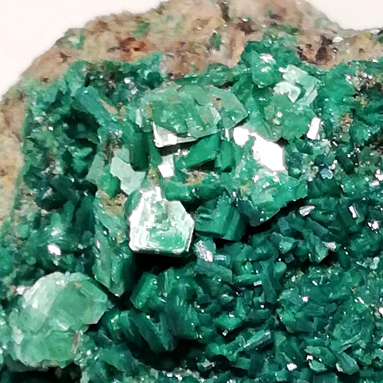 Metatorbernite