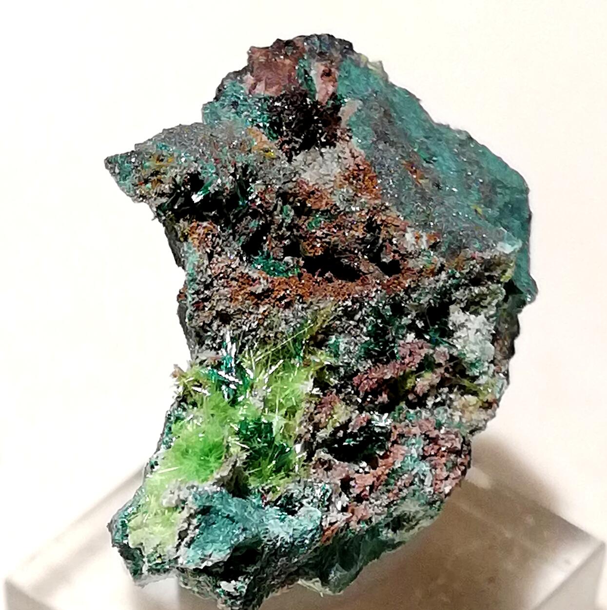 Cuprosklodowskite & Malachite