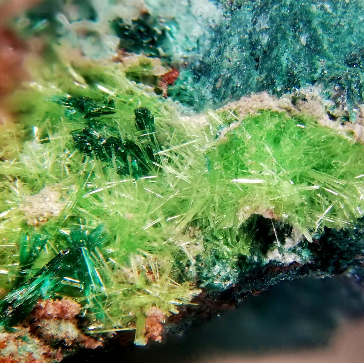 Cuprosklodowskite & Malachite