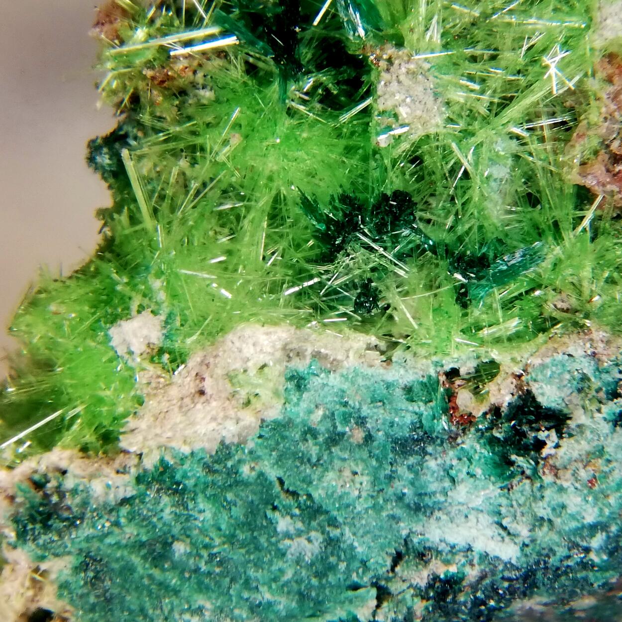 Cuprosklodowskite & Malachite