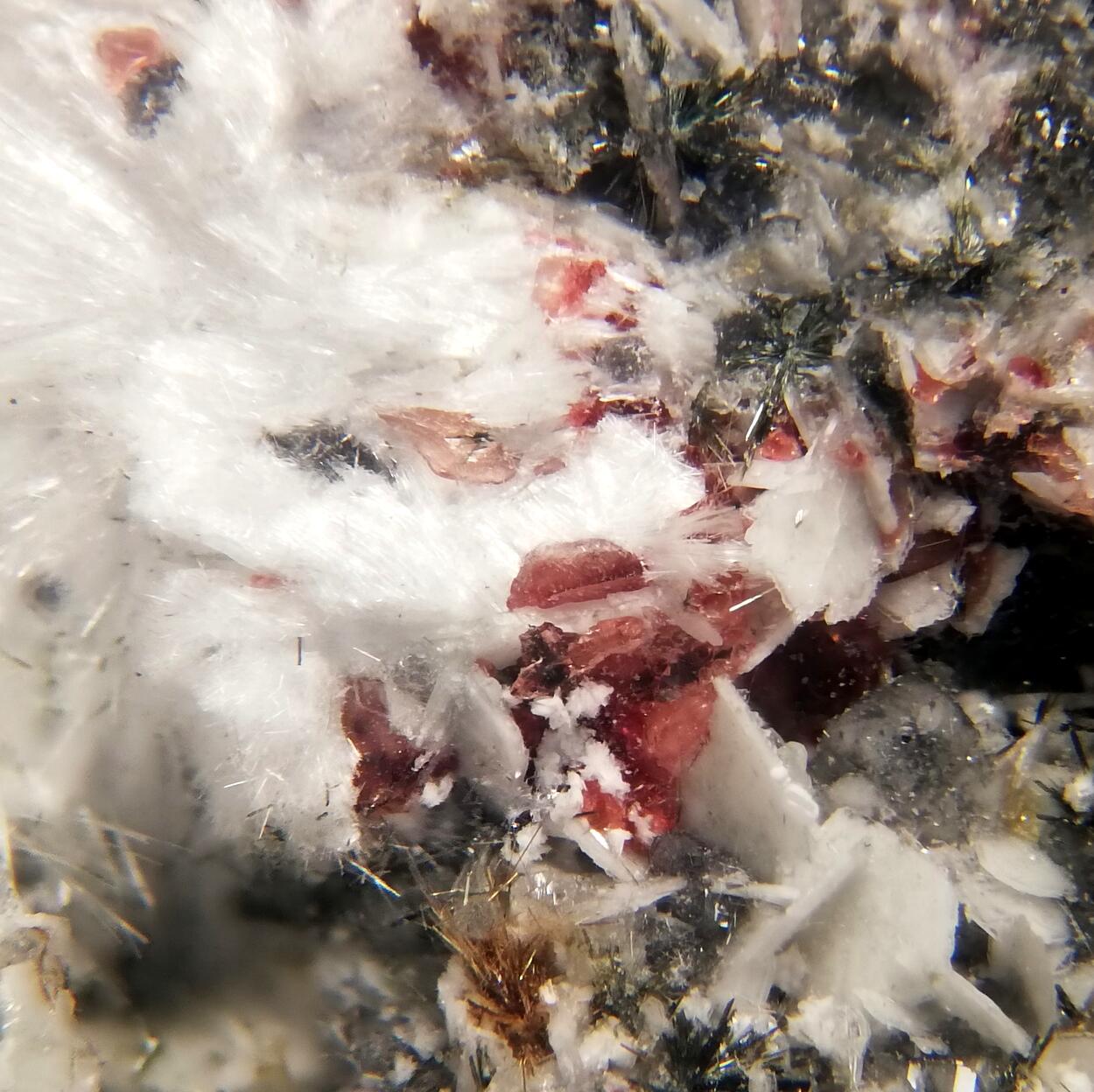 Makatite Eudialyte Ellingsenite