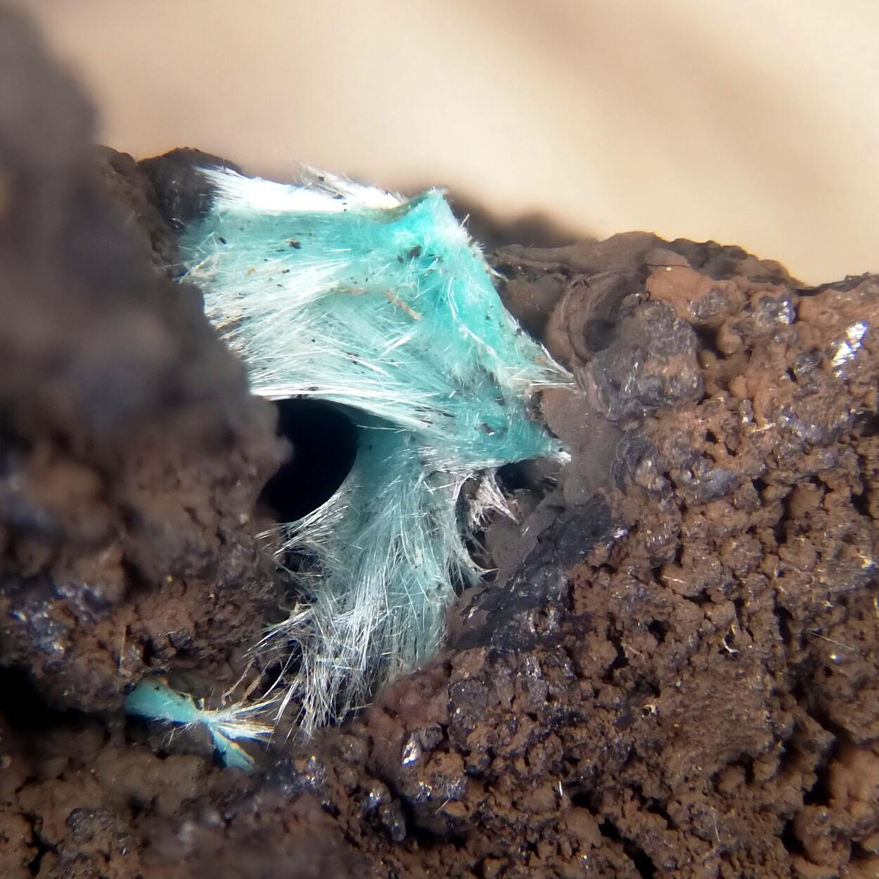 Agardite-(Y)