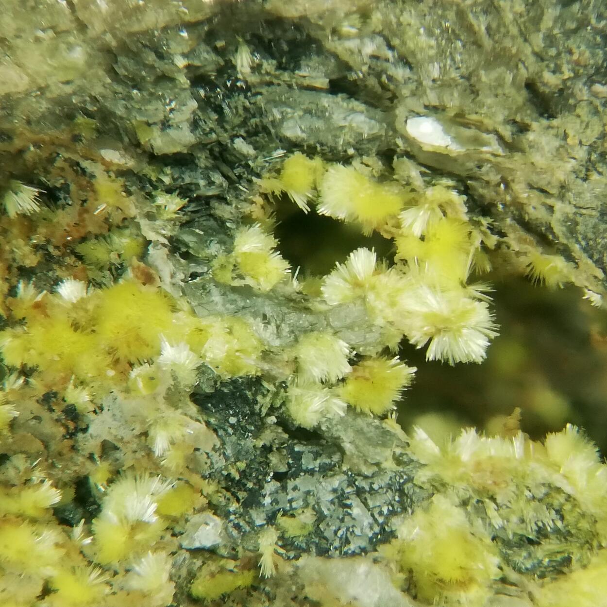 Schoepite On Uraninite