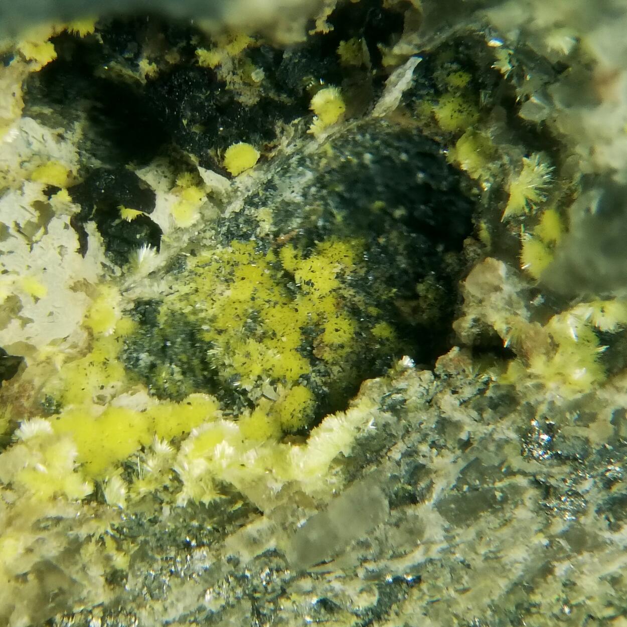 Schoepite On Uraninite