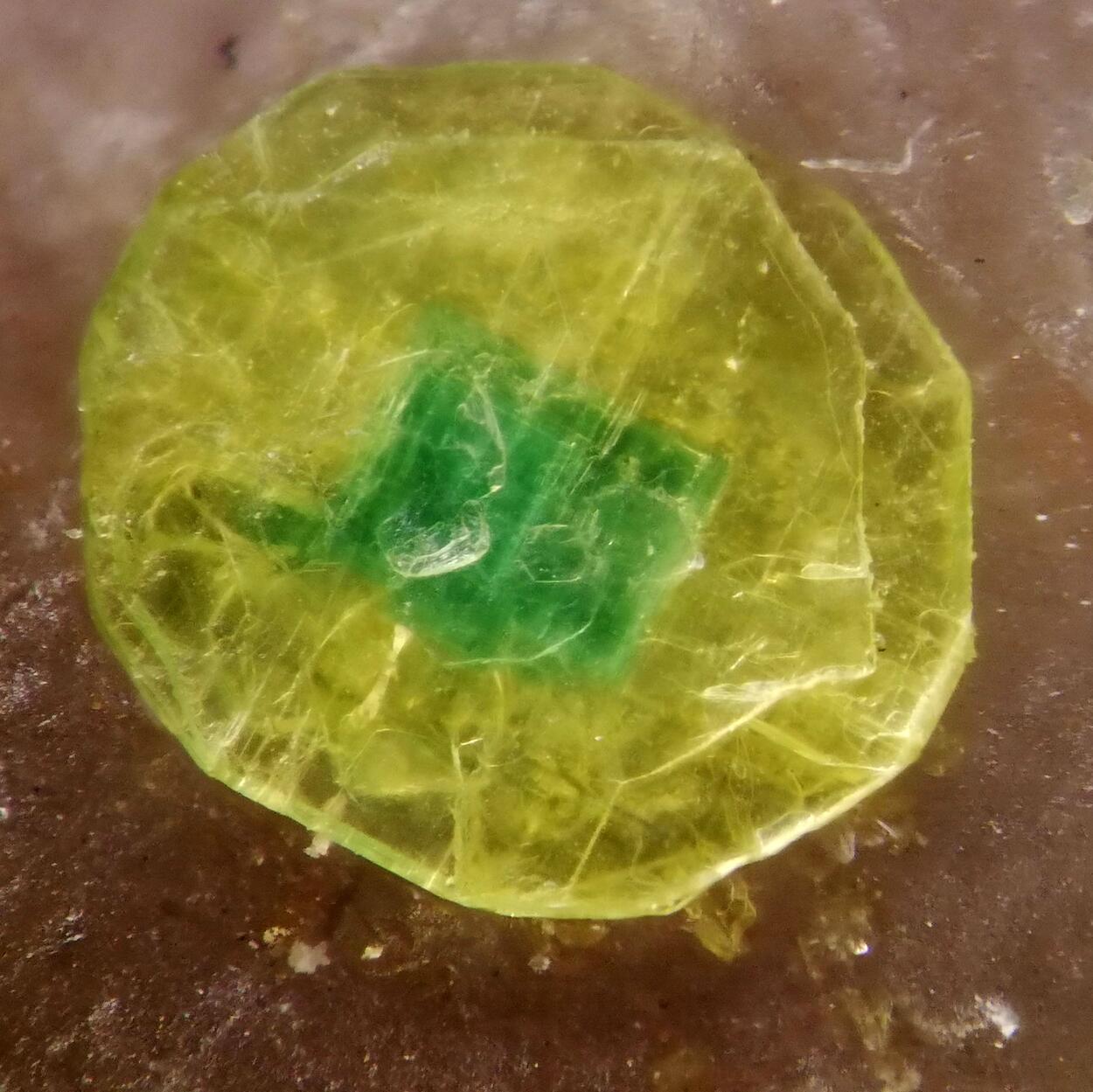 Autunite Torbernite