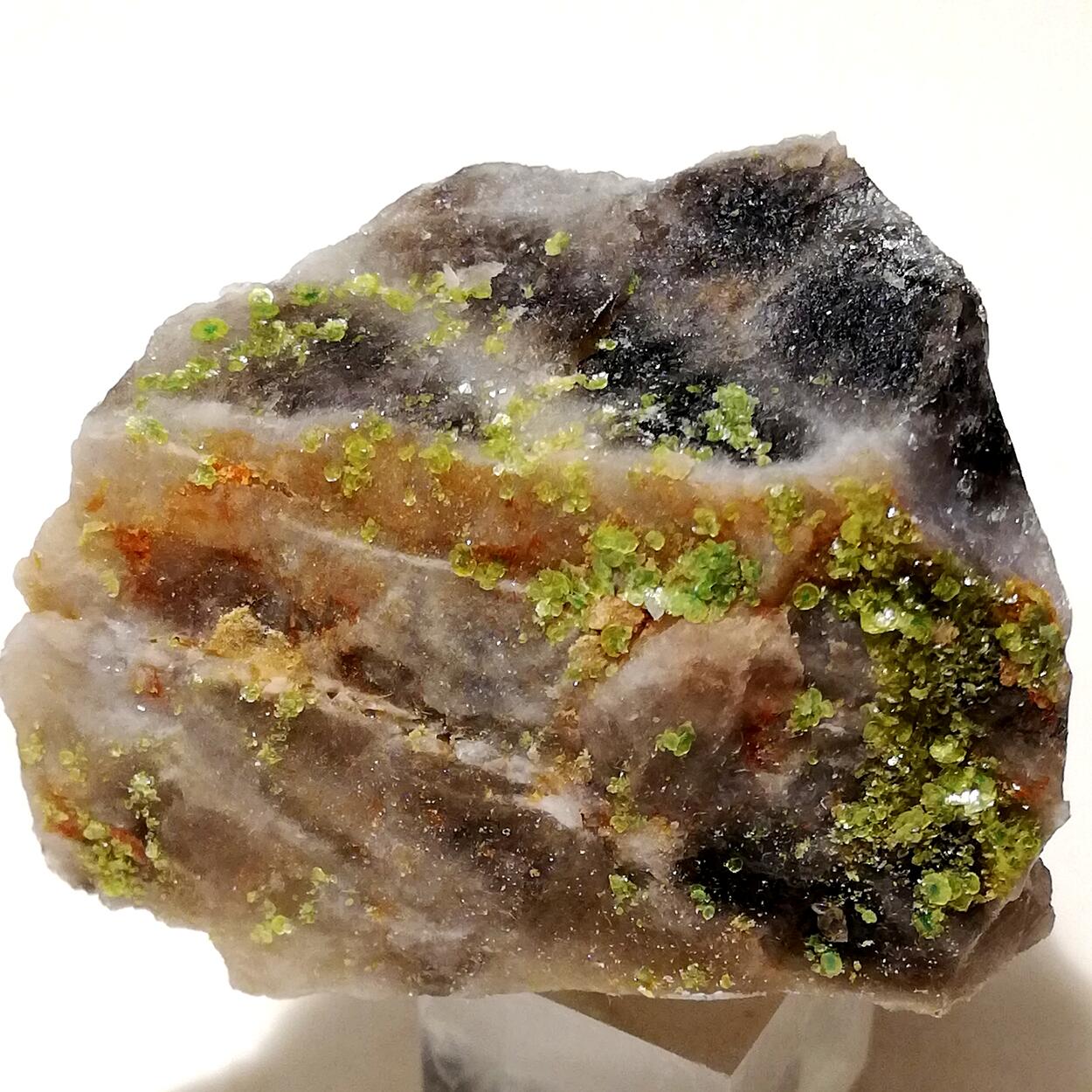 Autunite Torbernite