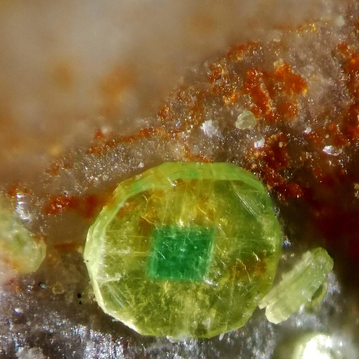 Autunite Torbernite