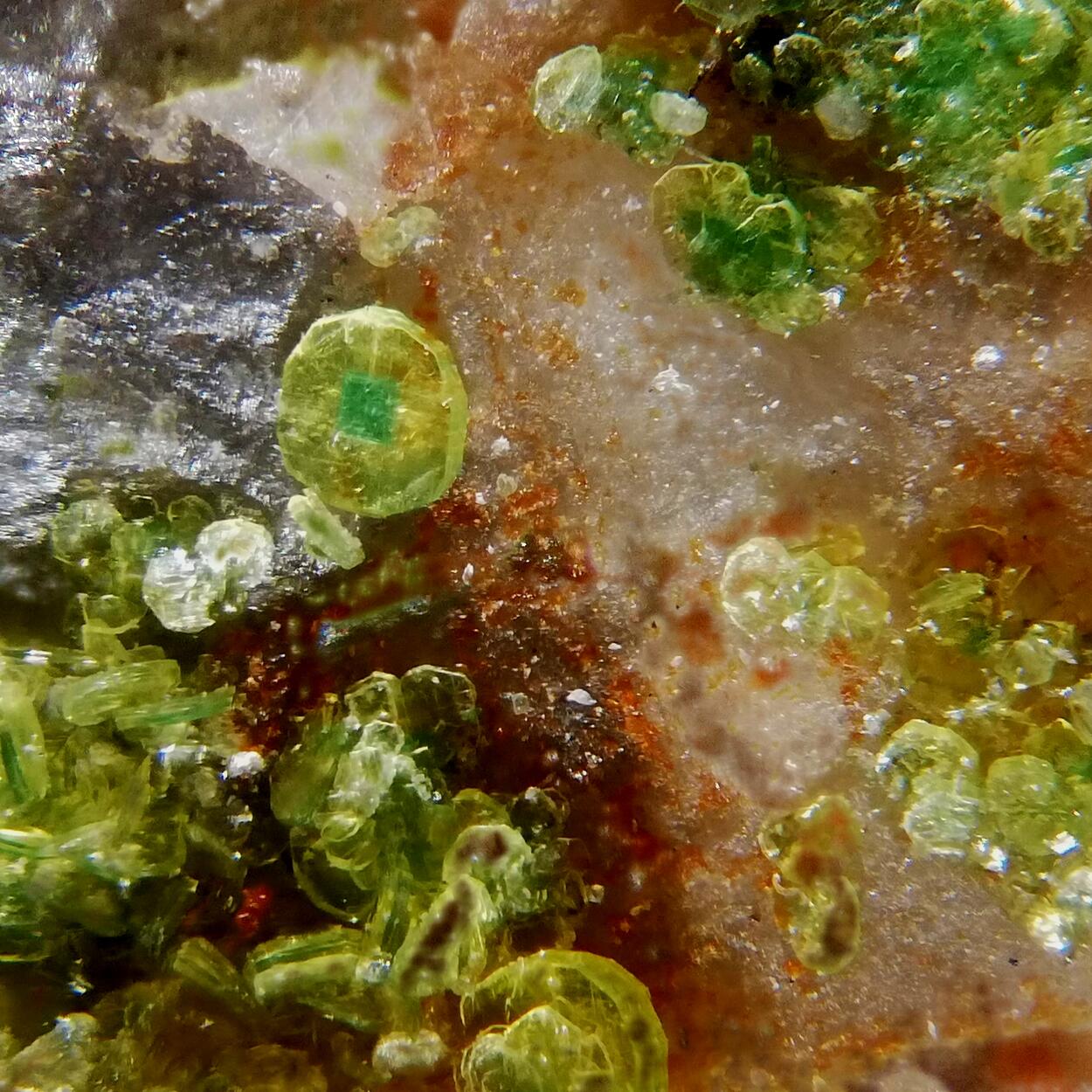 Autunite Torbernite