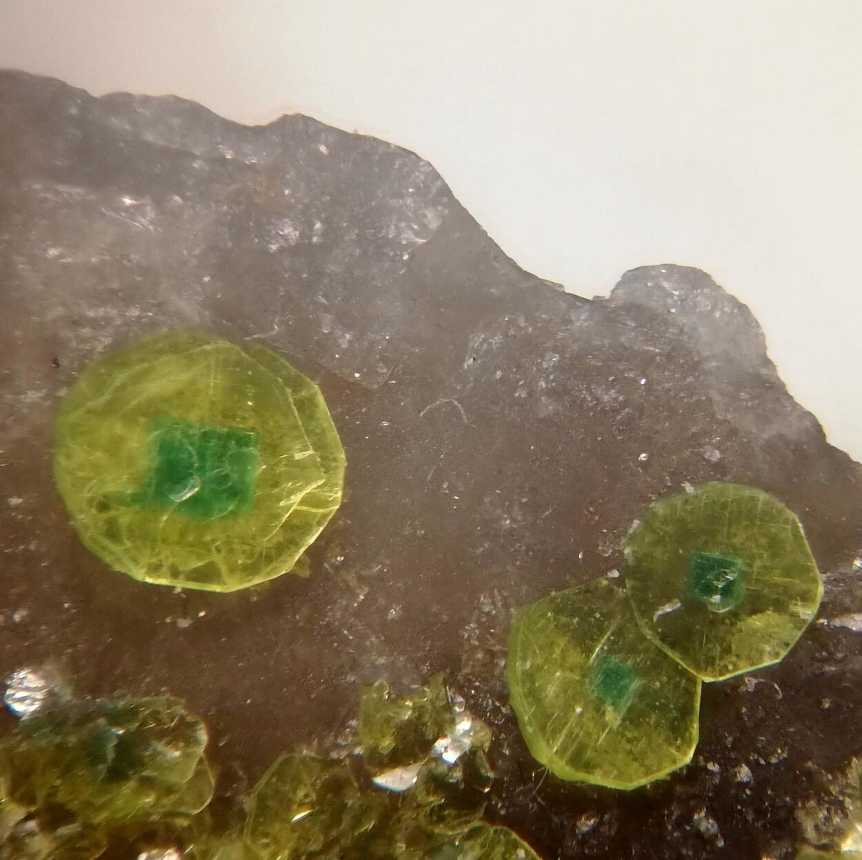 Autunite Torbernite